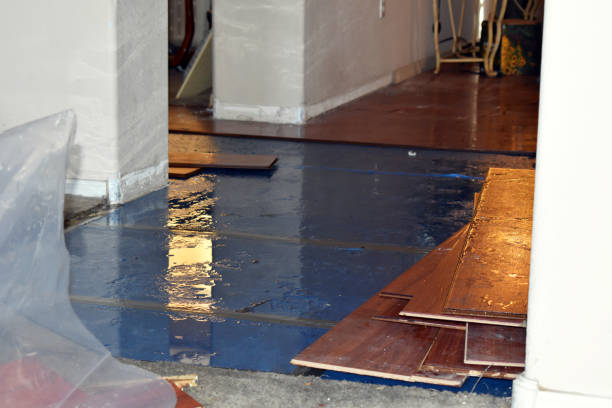 Professional Basement Flood Cleanup technician working in Kenosha, WI